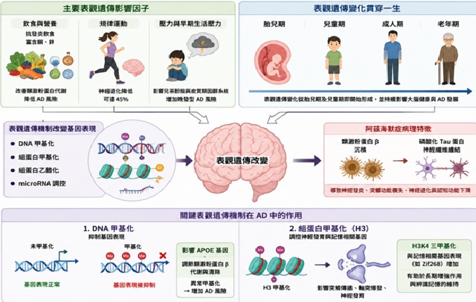 Epigenetics and Alzheimer’s Disease